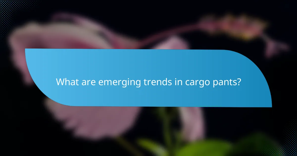 What are emerging trends in cargo pants?